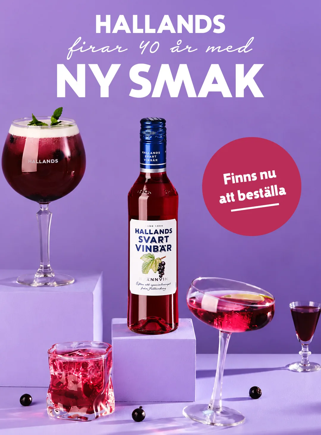 Hallands Svartvinbär